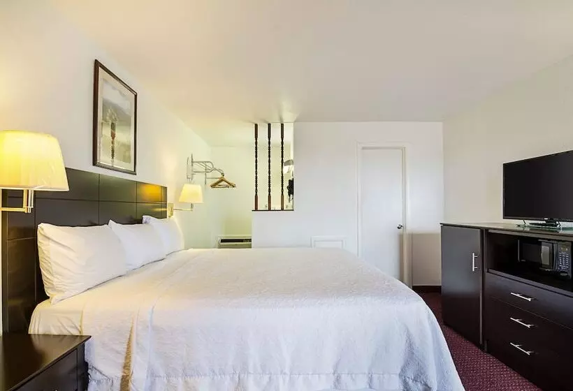 ホテル Rodeway Inn