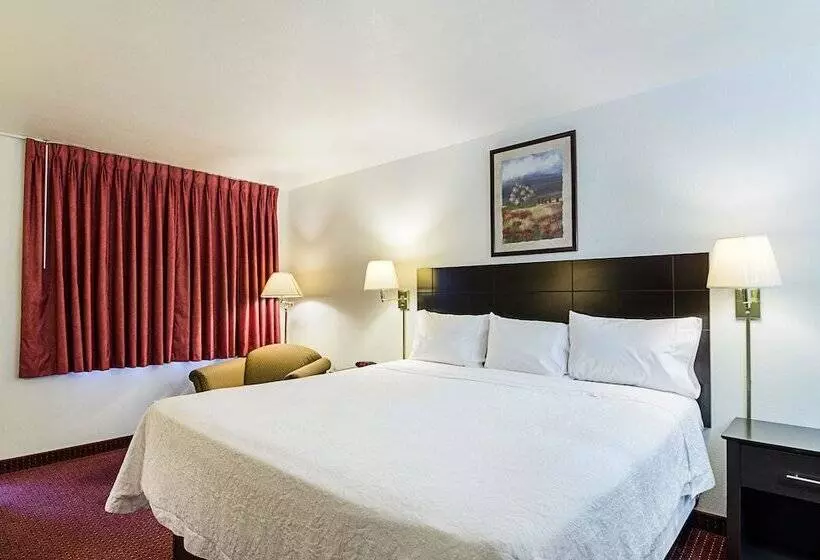 ホテル Rodeway Inn