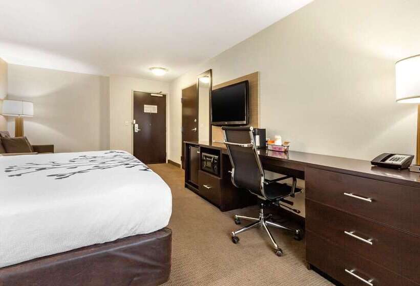 בית מלון כפרי Sleep Inn & Suites Grand Forks Near Alerus Center