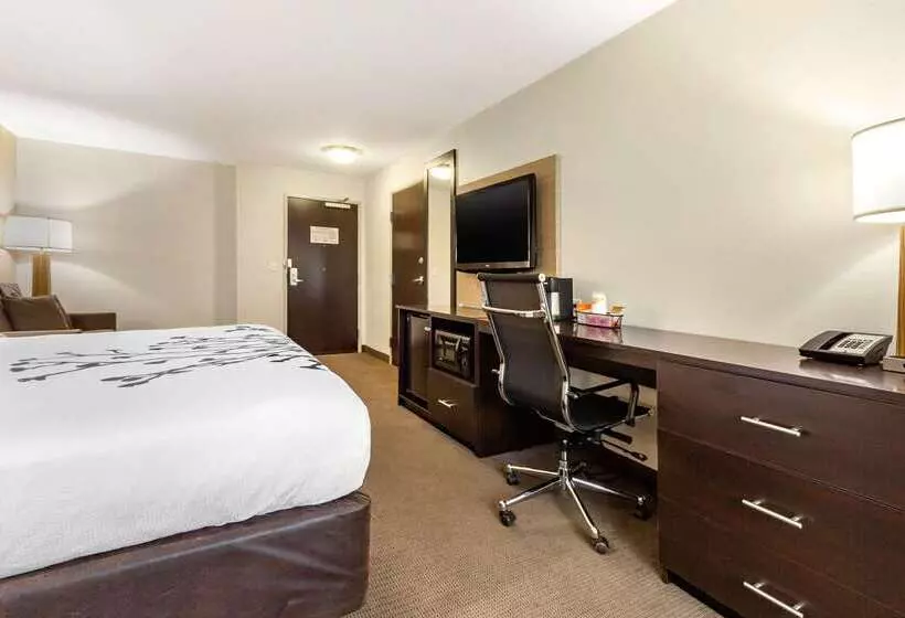 هتل Sleep Inn & Suites Grand Forks Near Alerus Center