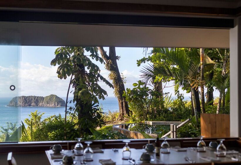 Arenas Del Mar Beachfront & Rainforest Resort Member Of The Cayuga Collection