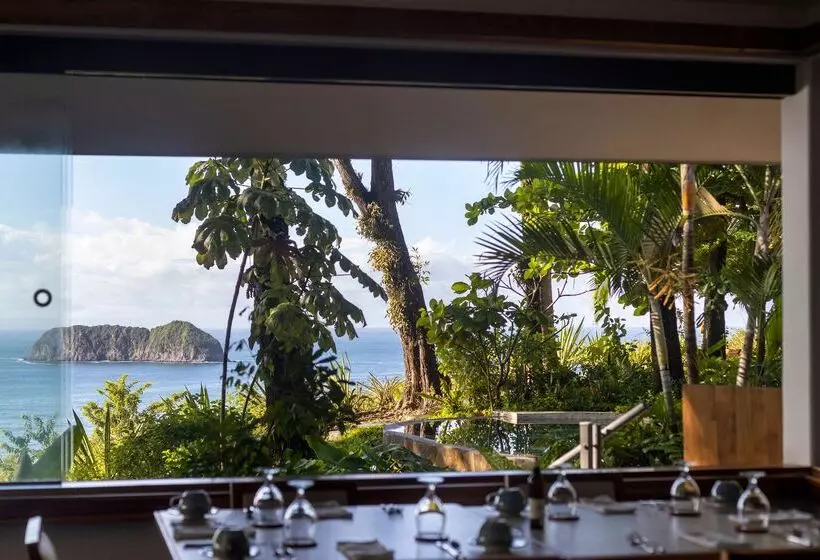 Arenas Del Mar Beachfront & Rainforest Resort Member Of The Cayuga Collection