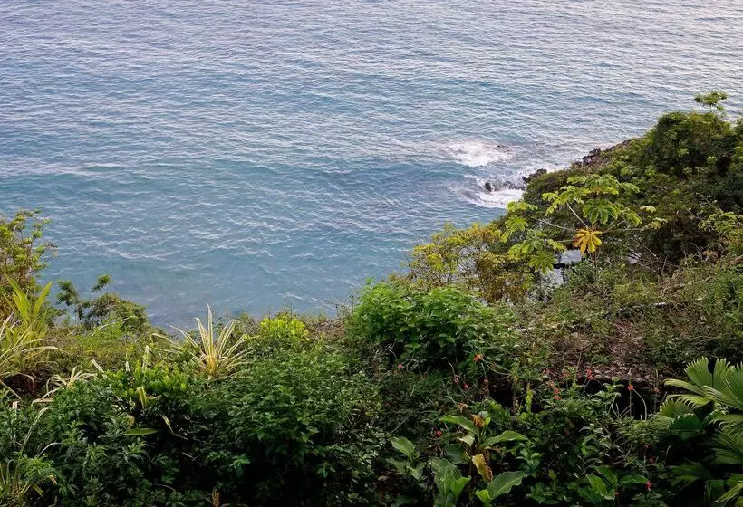 Arenas Del Mar Beachfront & Rainforest Resort Member Of The Cayuga Collection