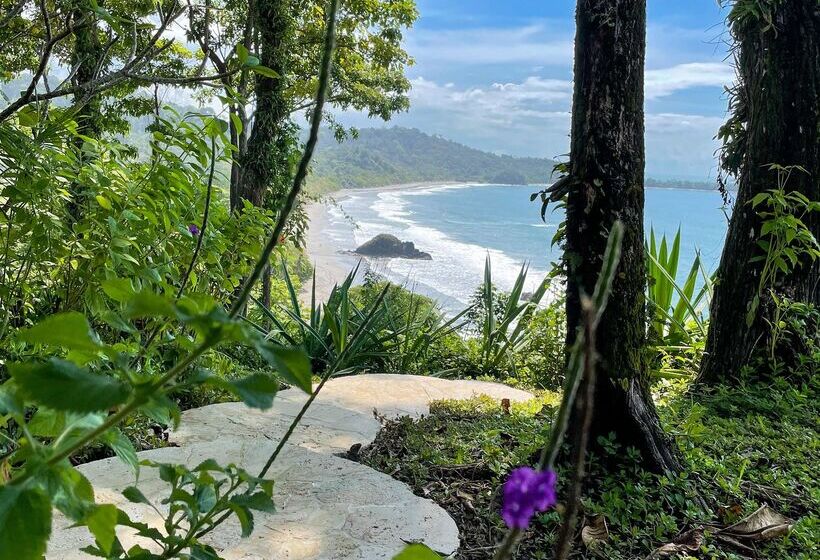 Arenas Del Mar Beachfront & Rainforest Resort Member Of The Cayuga Collection