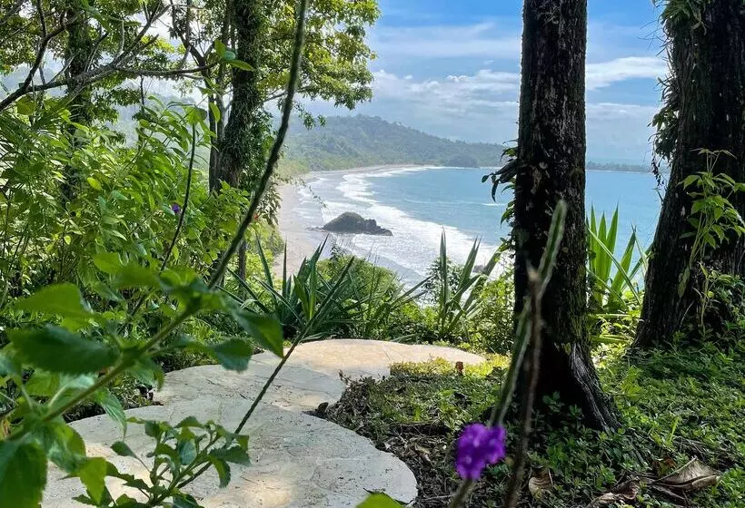 Arenas Del Mar Beachfront & Rainforest Resort Member Of The Cayuga Collection