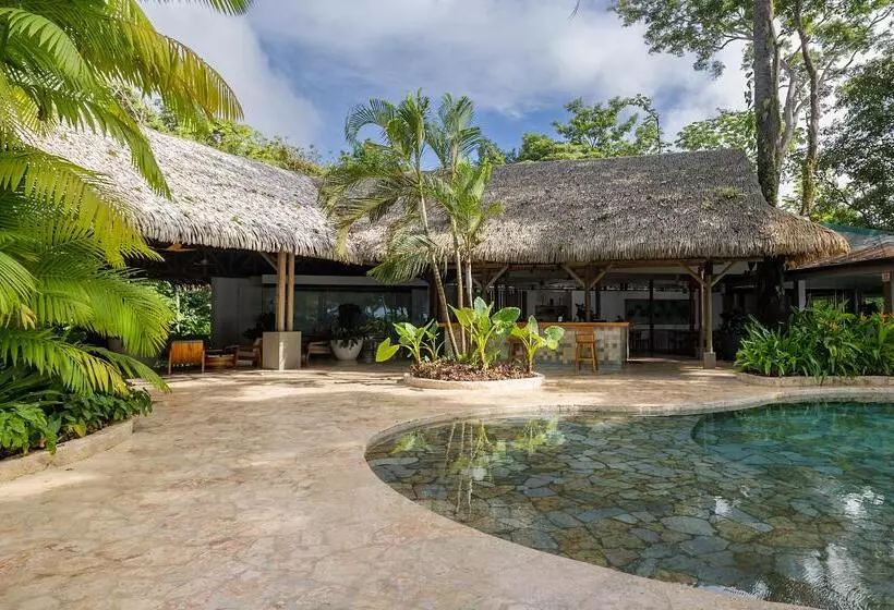 Arenas Del Mar Beachfront & Rainforest Resort Member Of The Cayuga Collection