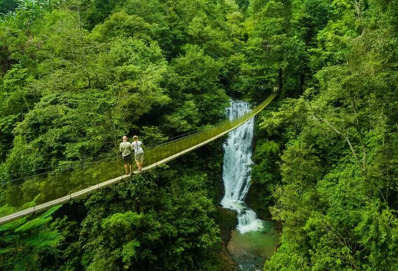 Arenas Del Mar Beachfront & Rainforest Resort Member Of The Cayuga Collection