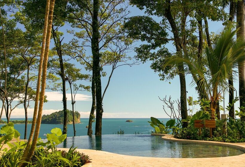 Arenas Del Mar Beachfront & Rainforest Resort Member Of The Cayuga Collection