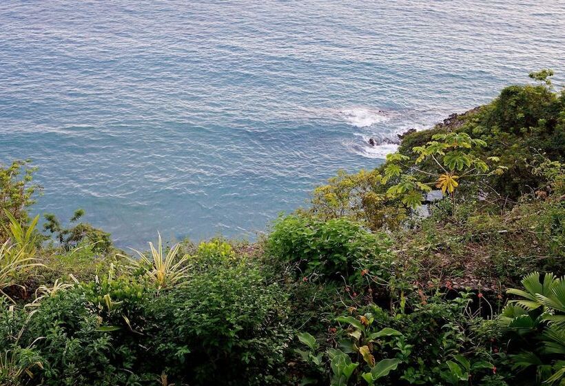 Arenas Del Mar Beachfront & Rainforest Resort Member Of The Cayuga Collection