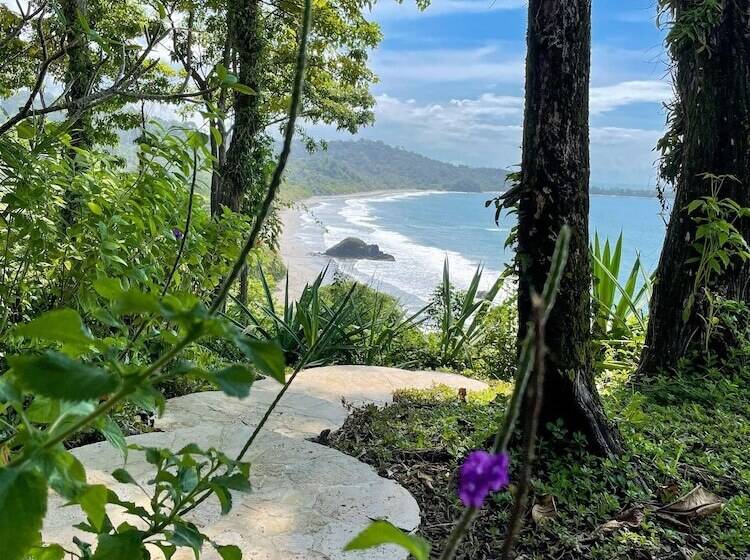 Arenas Del Mar Beachfront & Rainforest Resort Member Of The Cayuga Collection