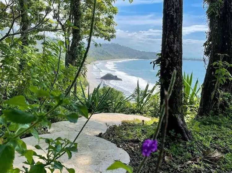 Arenas Del Mar Beachfront & Rainforest Resort Member Of The Cayuga Collection