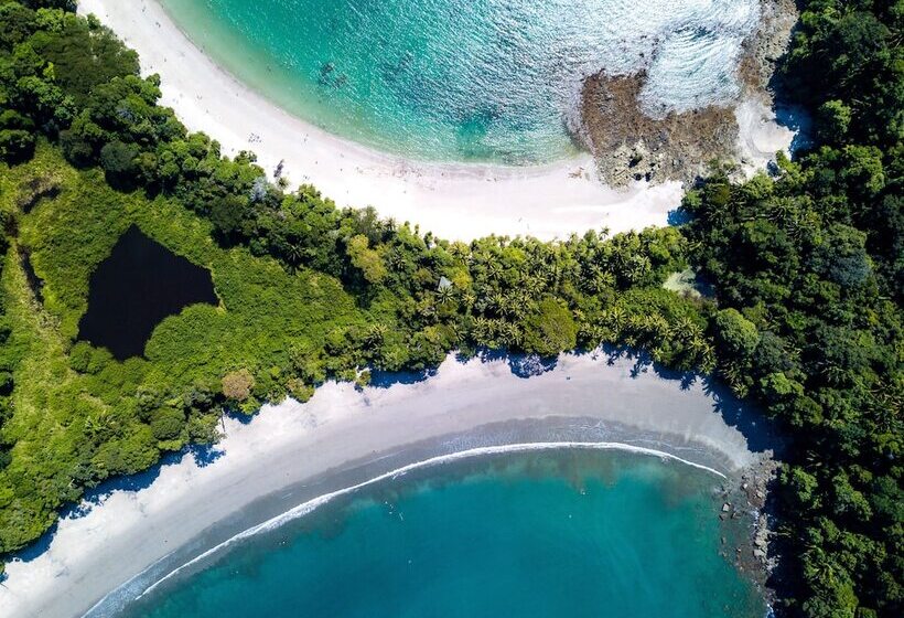 Arenas Del Mar Beachfront & Rainforest Resort Member Of The Cayuga Collection