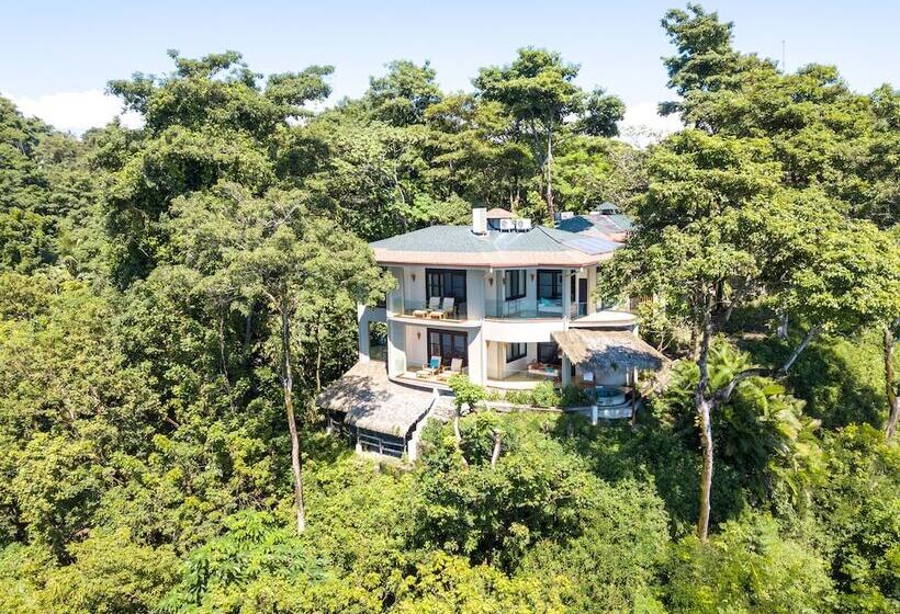 Arenas Del Mar Beachfront & Rainforest Resort Member Of The Cayuga Collection