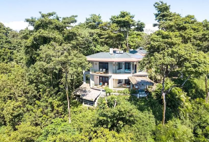 Arenas Del Mar Beachfront & Rainforest Resort Member Of The Cayuga Collection