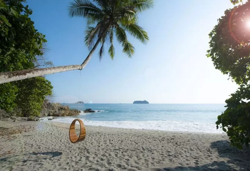 Arenas Del Mar Beachfront & Rainforest Resort Member Of The Cayuga Collection