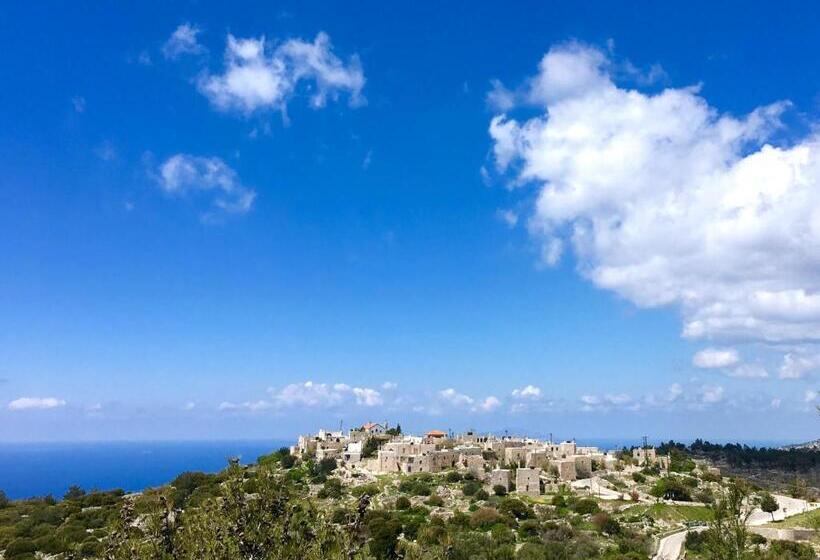 Avgonima All Seasons