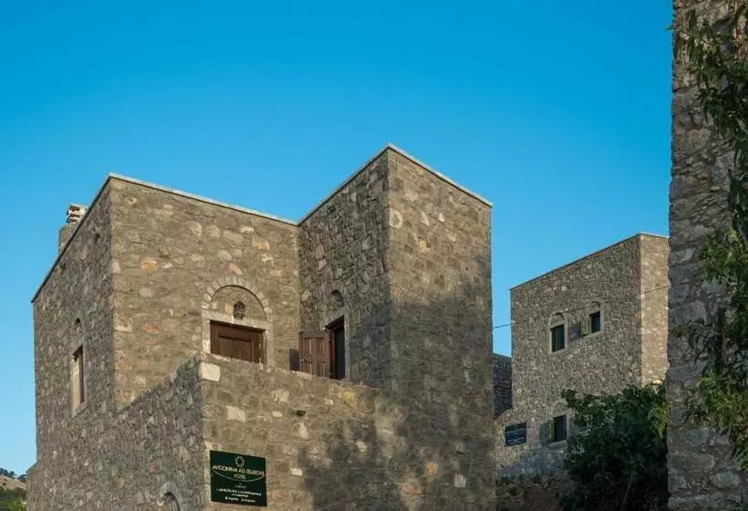 Avgonima All Seasons