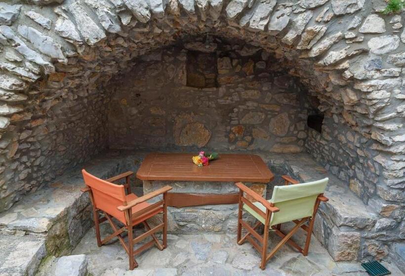 Avgonima All Seasons