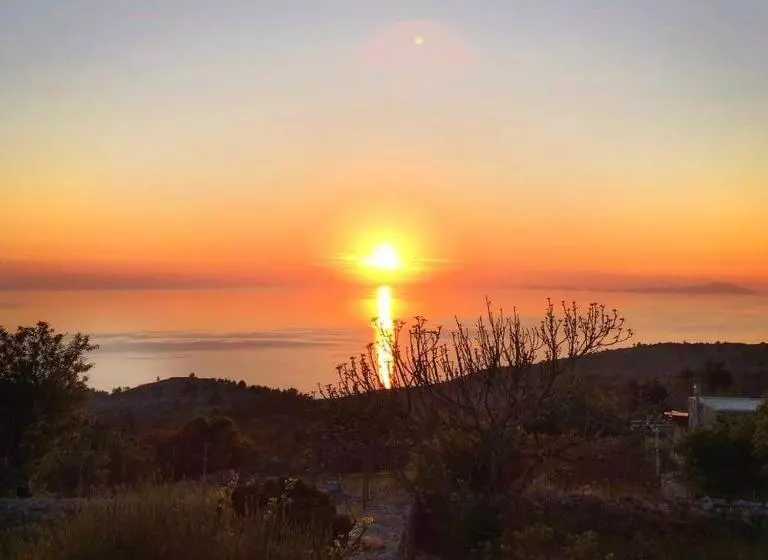 Avgonima All Seasons