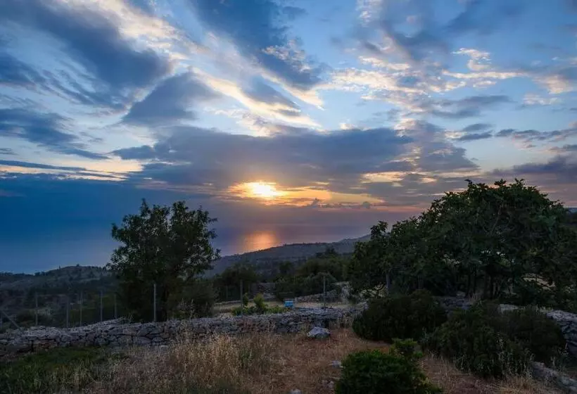 Avgonima All Seasons