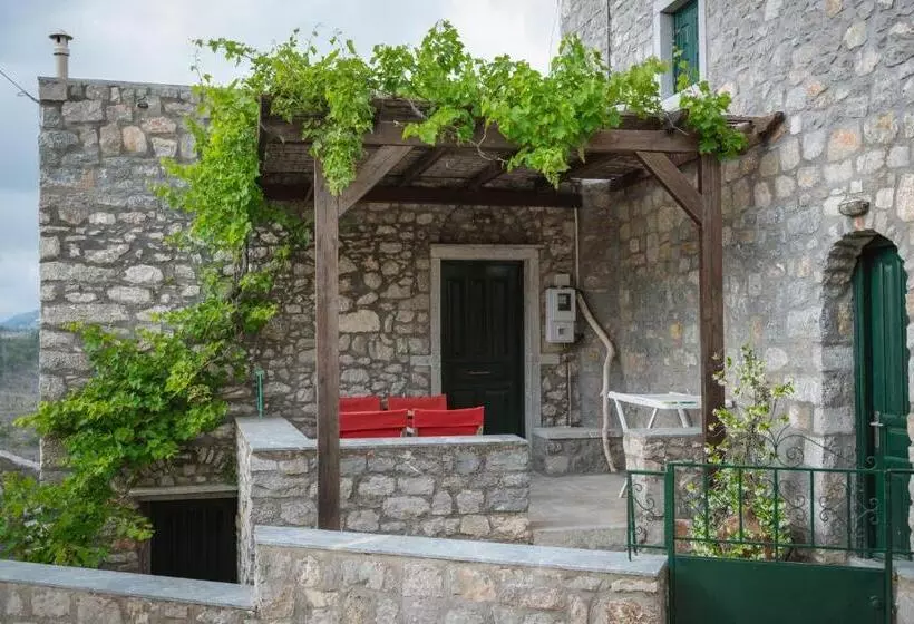 Avgonima All Seasons