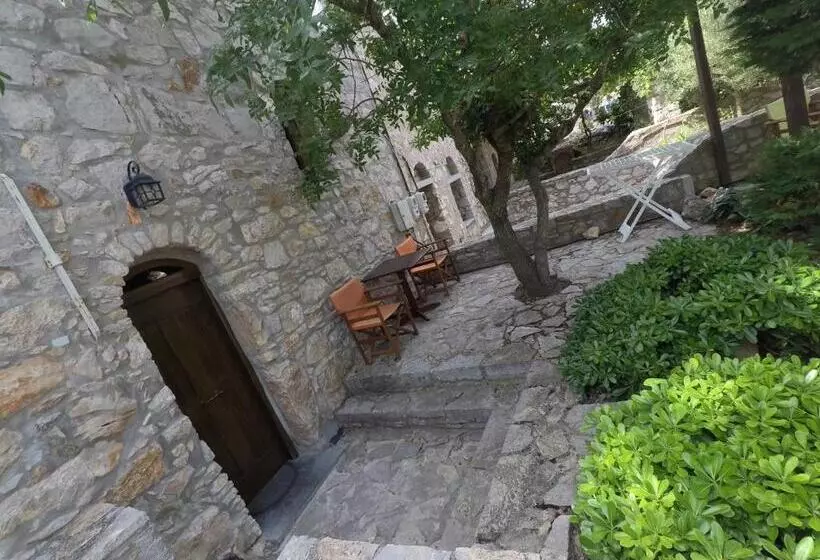 Avgonima All Seasons