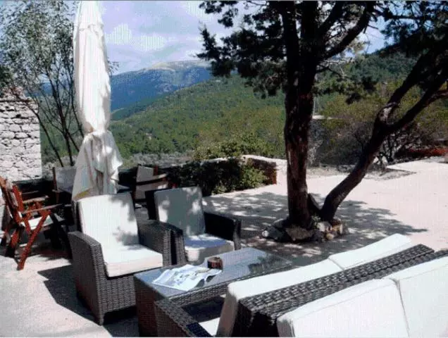 Avgonima All Seasons