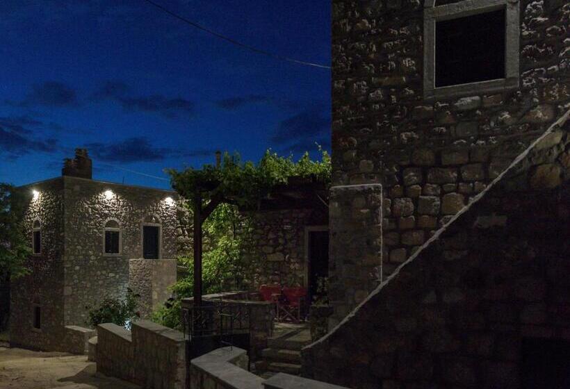 Avgonima All Seasons