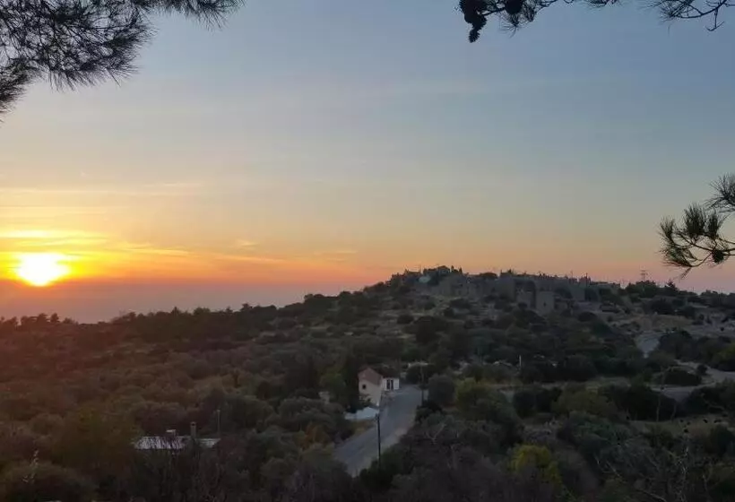 Avgonima All Seasons