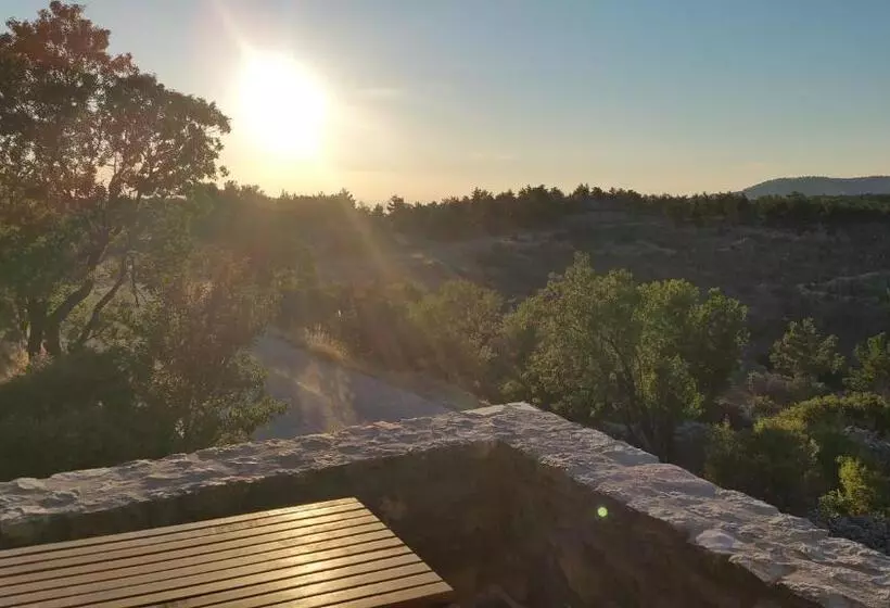 Avgonima All Seasons