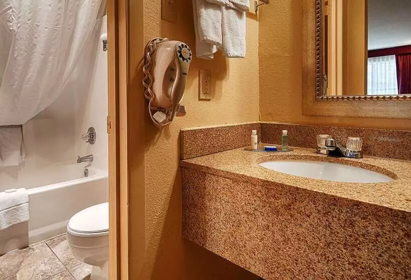 酒店 Best Western Pine Springs Inn