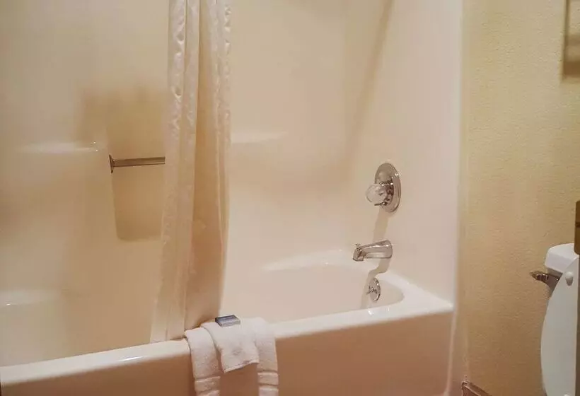 酒店 Best Western Pine Springs Inn