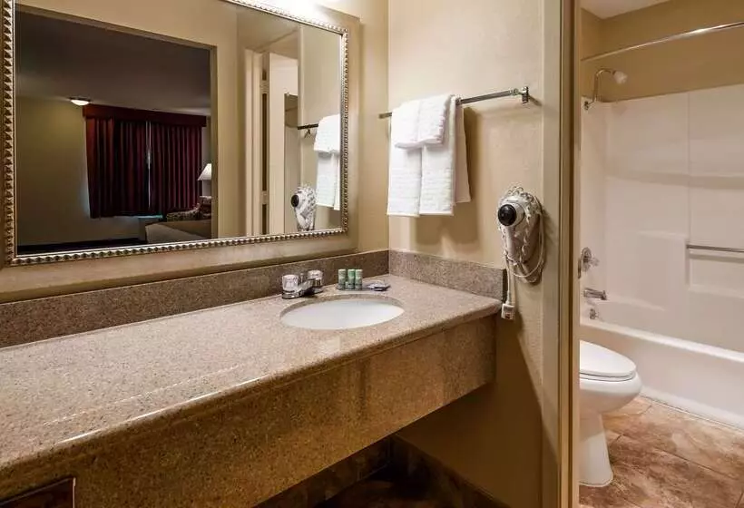 酒店 Best Western Pine Springs Inn