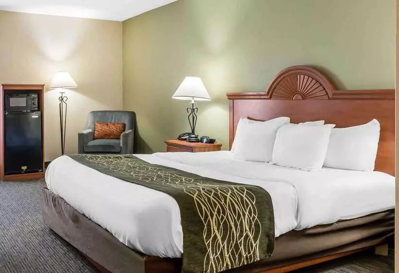 酒店 Comfort Inn Pine Grove I 81 Hershey Area