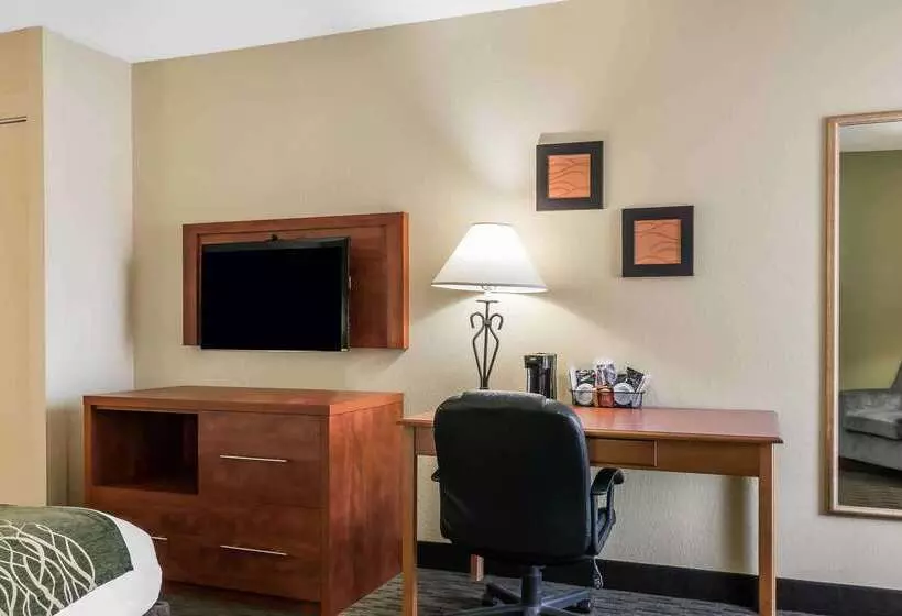 酒店 Comfort Inn Pine Grove I 81 Hershey Area