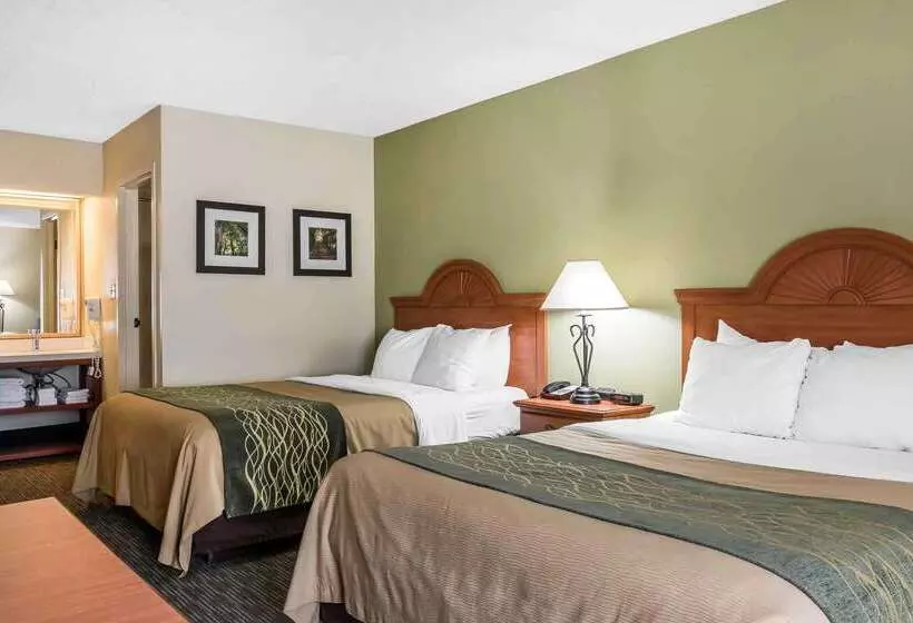 酒店 Comfort Inn Pine Grove I 81 Hershey Area