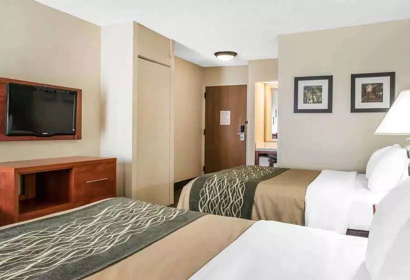 酒店 Comfort Inn Pine Grove I 81 Hershey Area
