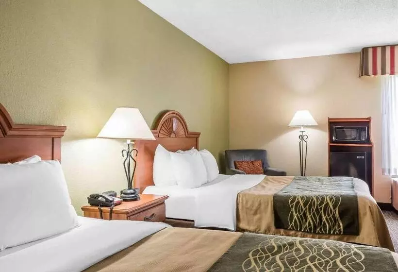 酒店 Comfort Inn Pine Grove I 81 Hershey Area