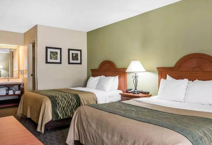 酒店 Comfort Inn Pine Grove I 81 Hershey Area