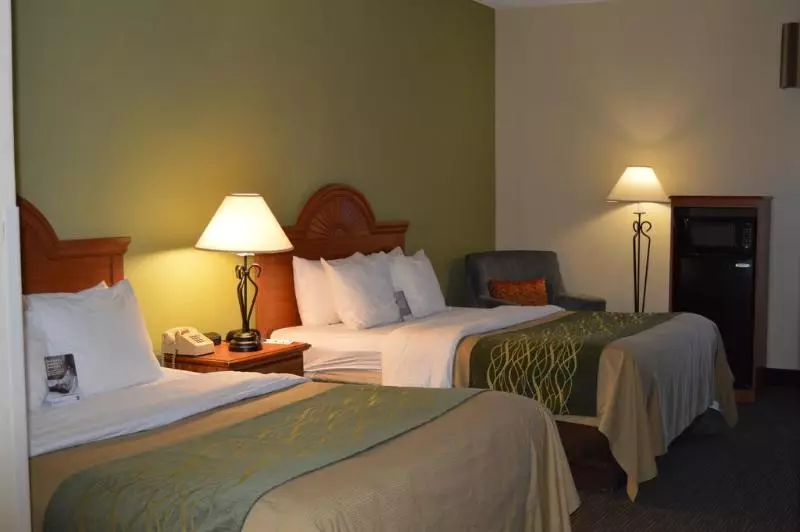 酒店 Comfort Inn Pine Grove I 81 Hershey Area