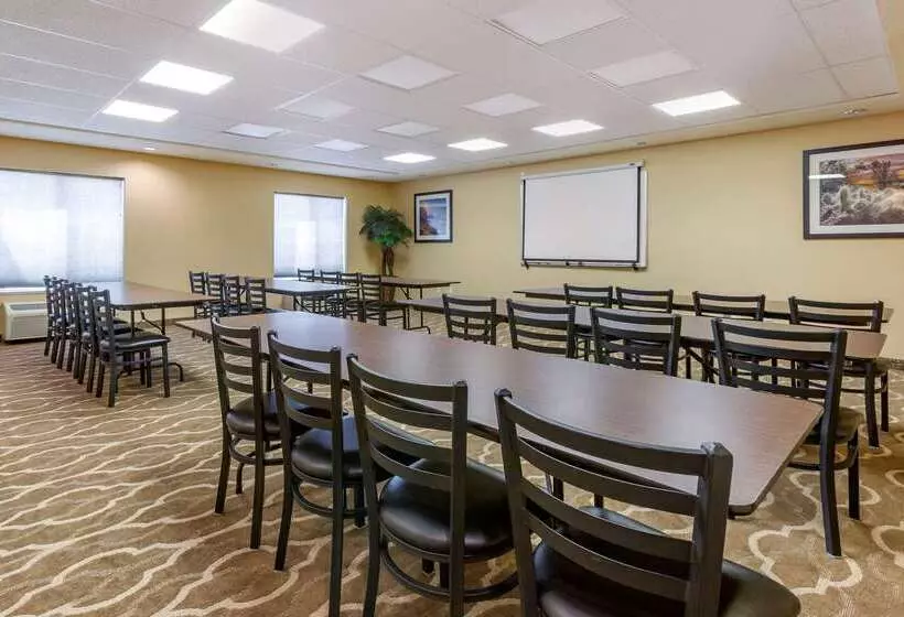 ホテル Comfort Inn & Suites