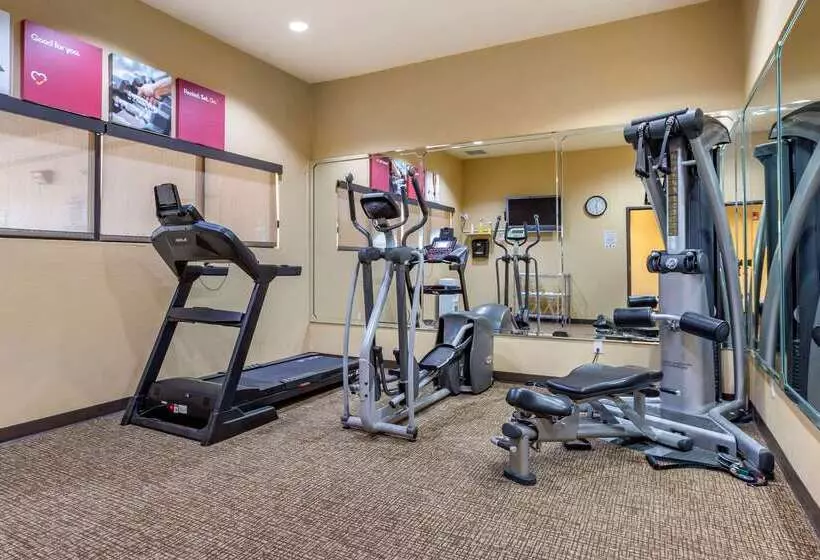 ホテル Comfort Inn & Suites