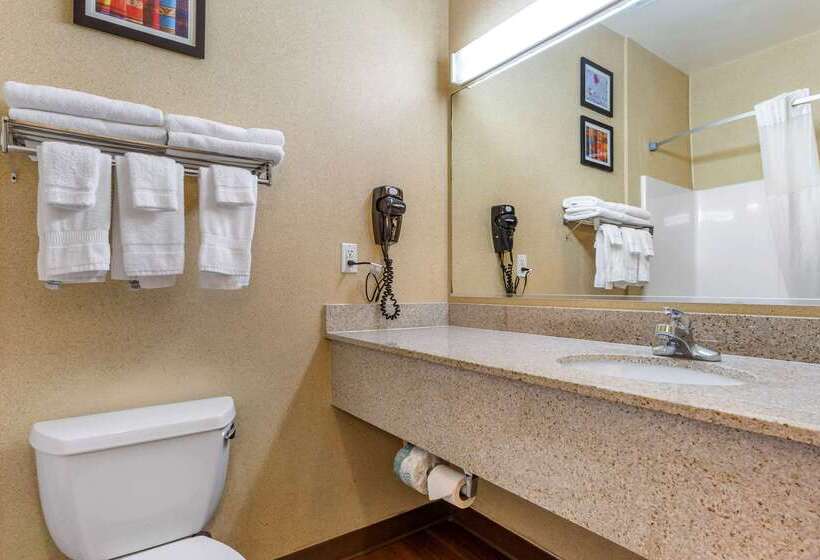 호텔 Comfort Inn & Suites