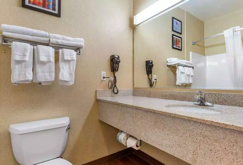 ホテル Comfort Inn & Suites