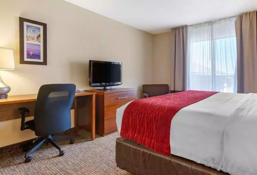 ホテル Comfort Inn & Suites