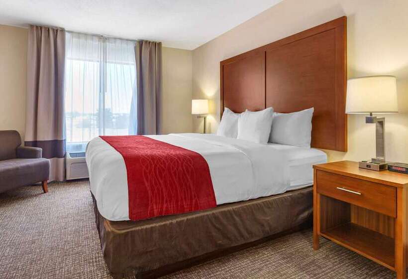 호텔 Comfort Inn & Suites