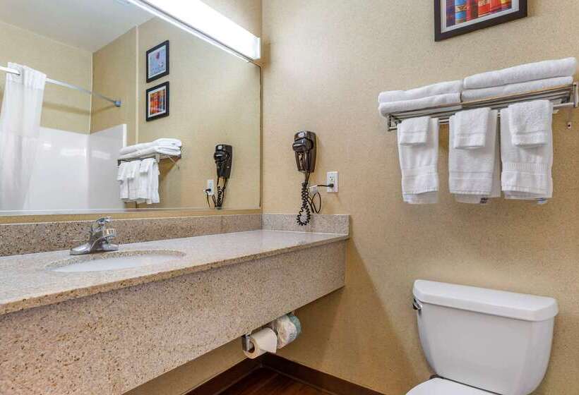 호텔 Comfort Inn & Suites