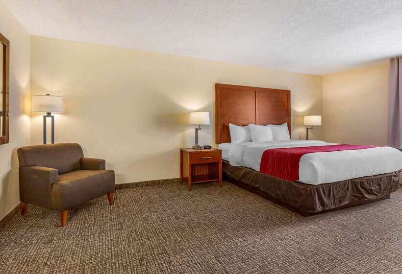 호텔 Comfort Inn & Suites