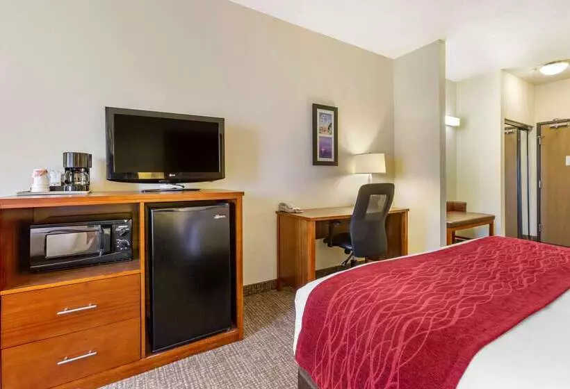 ホテル Comfort Inn & Suites