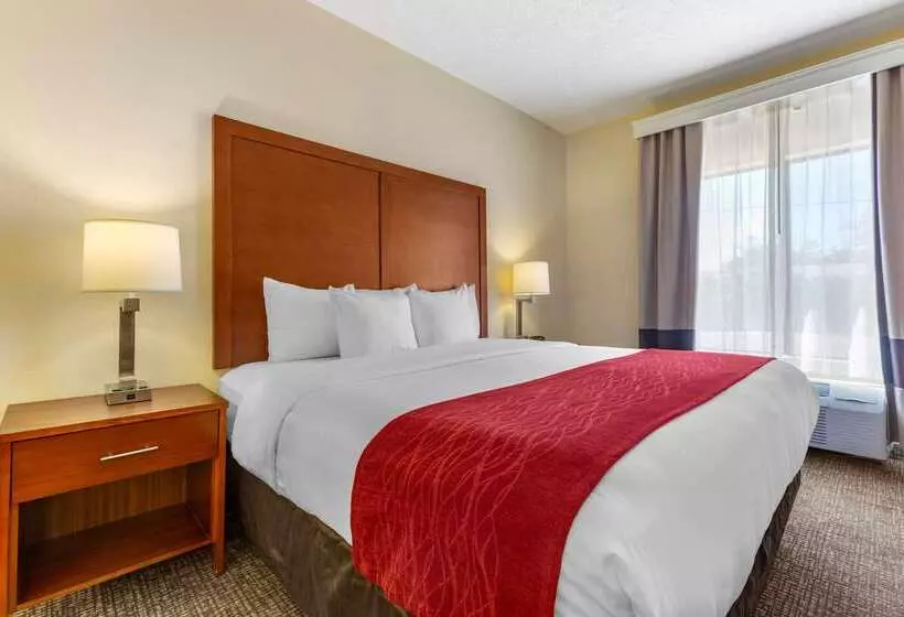 ホテル Comfort Inn & Suites